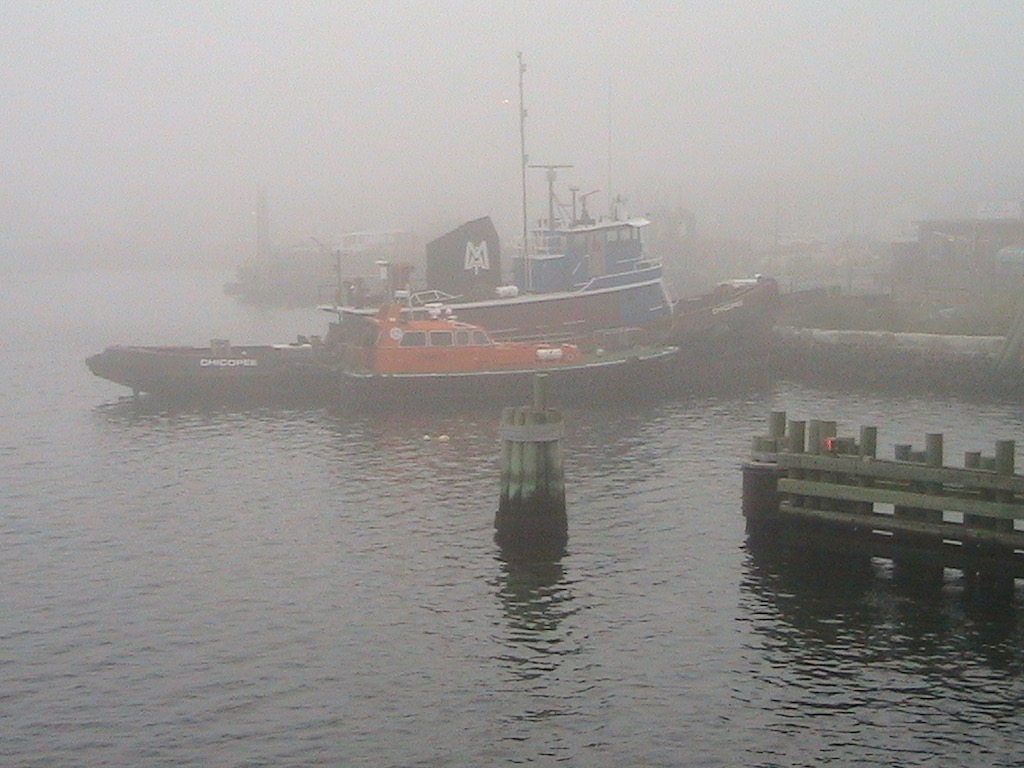 Boat at dock in fog