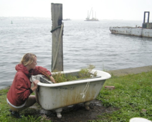 woman kneeling by planter